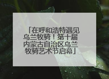 在呼和浩特遇见乌兰牧骑！第十届内蒙古自治区乌兰牧骑艺术节启幕