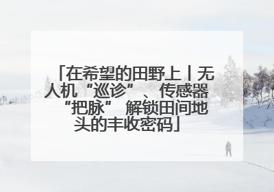 在希望的田野上丨无人机“巡诊”、传感器“把脉” 解锁田间地头的丰收密码