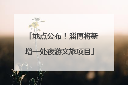 地点公布！淄博将新增一处夜游文旅项目