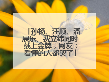 孙杨、汪顺、潘展乐、费立纬同时戴上金牌，网友：看懂的人都哭了