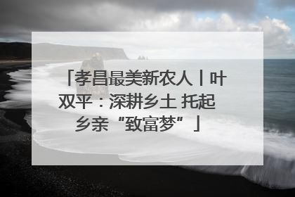 孝昌最美新农人丨叶双平：深耕乡土 托起乡亲“致富梦”
