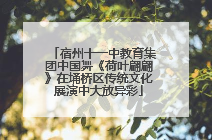 宿州十一中教育集团中国舞《荷叶翩翩》在埇桥区传统文化展演中大放异彩