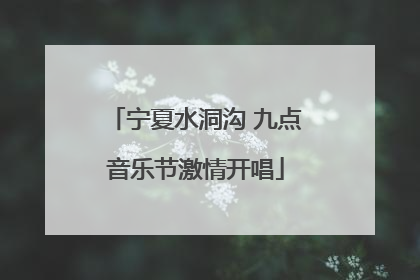 宁夏水洞沟 九点音乐节激情开唱