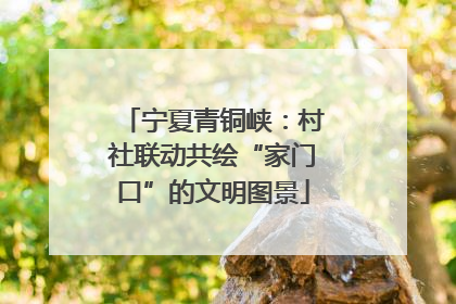 宁夏青铜峡：村社联动共绘“家门口”的文明图景
