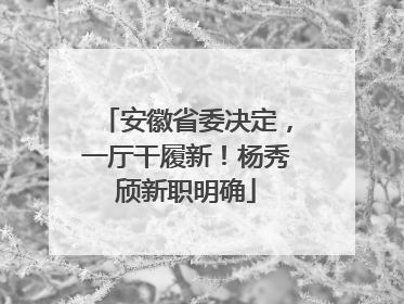 安徽省委决定，一厅干履新！杨秀颀新职明确