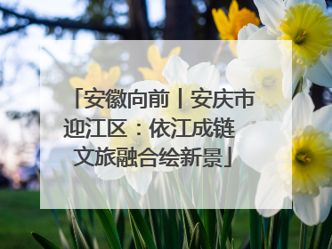 安徽向前丨安庆市迎江区：依江成链 文旅融合绘新景