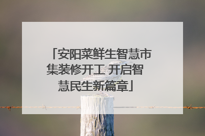 安阳菜鲜生智慧市集装修开工 开启智慧民生新篇章