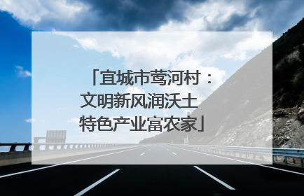 宜城市莺河村：文明新风润沃土 特色产业富农家