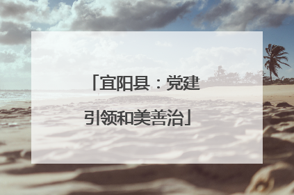 宜阳县：党建引领和美善治