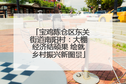 宝鸡陈仓区东关街道南阳村：大棚经济结硕果 绘就乡村振兴新图景