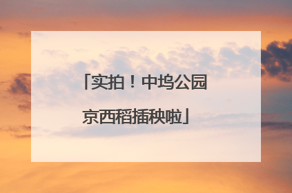 实拍！中坞公园京西稻插秧啦
