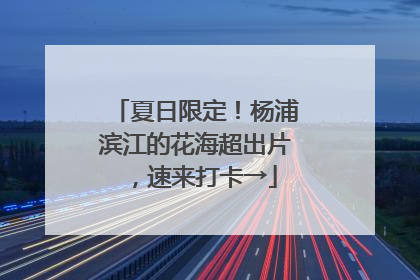 夏日限定！杨浦滨江的花海超出片，速来打卡→