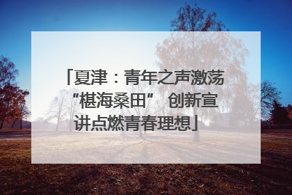 夏津：青年之声激荡“椹海桑田” 创新宣讲点燃青春理想