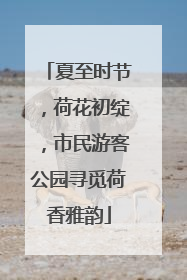 夏至时节，荷花初绽，市民游客公园寻觅荷香雅韵