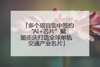 多个项目集中签约 “AI+芯片”赋能重庆打造全球单轨交通产业名片