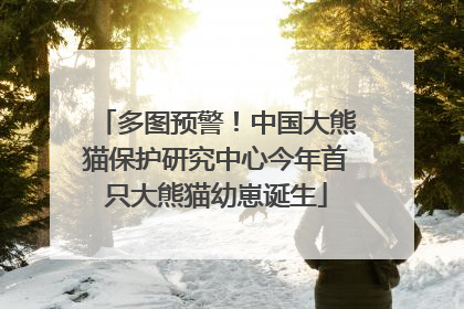 多图预警！中国大熊猫保护研究中心今年首只大熊猫幼崽诞生