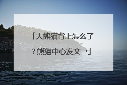大熊猫背上怎么了？熊猫中心发文→