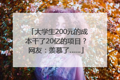 大学生200元的成本干了20亿的项目？网友：羡慕了……