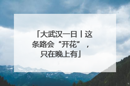 大武汉一日丨这条路会“开花”，只在晚上有