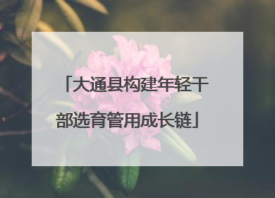 大通县构建年轻干部选育管用成长链