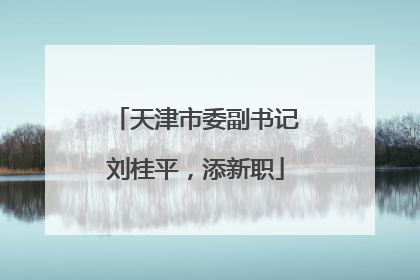 天津市委副书记刘桂平，添新职