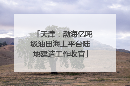 天津：渤海亿吨级油田海上平台陆地建造工作收官