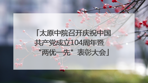 太原中院召开庆祝中国共产党成立104周年暨“两优一先”表彰大会