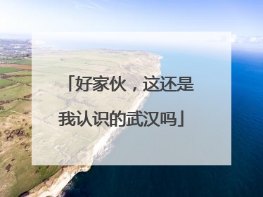 好家伙，这还是我认识的武汉吗