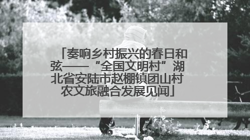 奏响乡村振兴的春日和弦——“全国文明村”湖北省安陆市赵棚镇团山村农文旅融合发展见闻