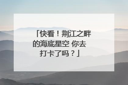 快看！荆江之畔的海底星空 你去打卡了吗？
