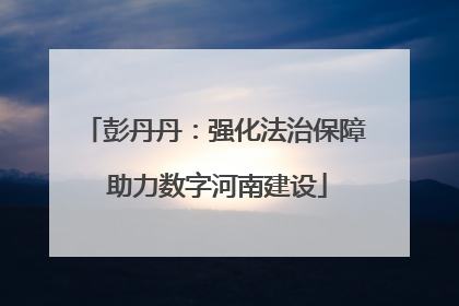 彭丹丹：强化法治保障 助力数字河南建设