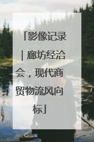 影像记录｜廊坊经洽会，现代商贸物流风向标