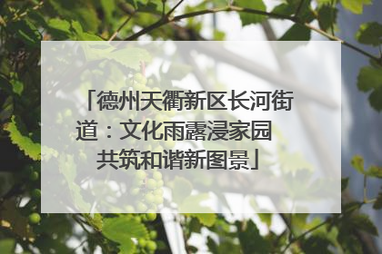 德州天衢新区长河街道：文化雨露浸家园 共筑和谐新图景