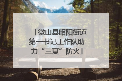 微山县昭阳街道第一书记工作队助力“三夏”防火