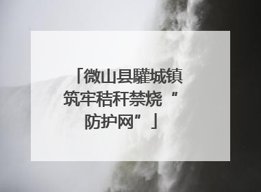 微山县驩城镇筑牢秸秆禁烧“防护网”