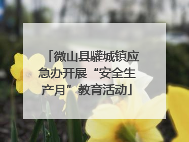 微山县驩城镇应急办开展“安全生产月”教育活动