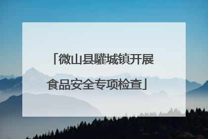 微山县驩城镇开展食品安全专项检查
