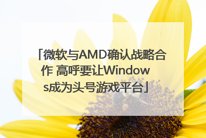 微软与AMD确认战略合作 高呼要让Windows成为头号游戏平台