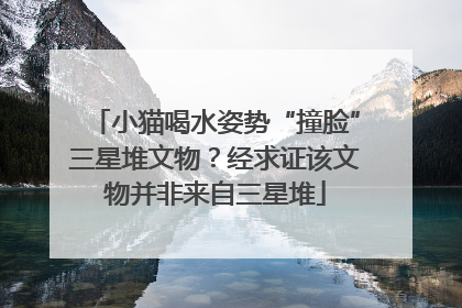 小猫喝水姿势“撞脸”三星堆文物？经求证该文物并非来自三星堆