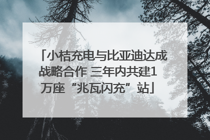 小桔充电与比亚迪达成战略合作 三年内共建1万座“兆瓦闪充”站