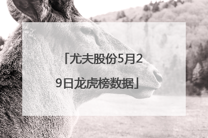 尤夫股份5月29日龙虎榜数据