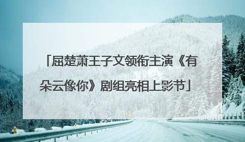 屈楚萧王子文领衔主演《有朵云像你》剧组亮相上影节