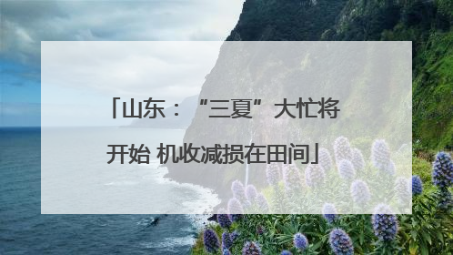 山东：“三夏”大忙将开始 机收减损在田间