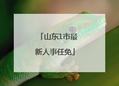 山东1市最新人事任免
