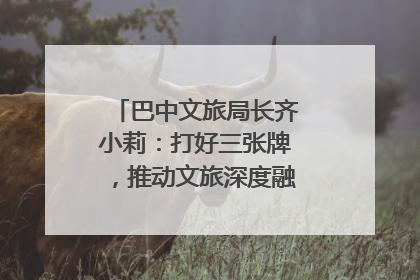 巴中文旅局长齐小莉：打好三张牌，推动文旅深度融合｜文旅局长说