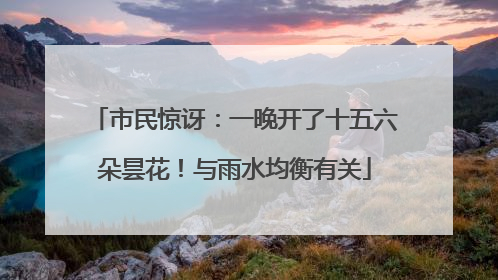 市民惊讶：一晚开了十五六朵昙花！与雨水均衡有关