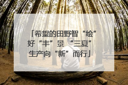 希望的田野智“绘”好“丰”景 “三夏”生产向“新”而行