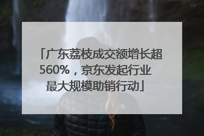 广东荔枝成交额增长超560%，京东发起行业最大规模助销行动