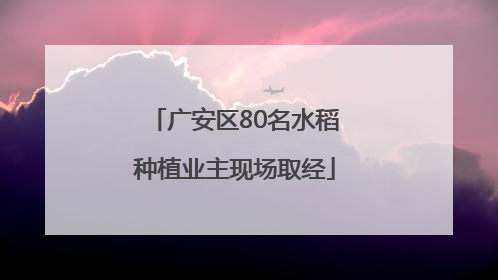 广安区80名水稻种植业主现场取经