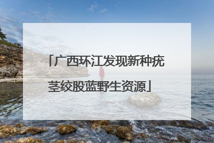 广西环江发现新种疣茎绞股蓝野生资源